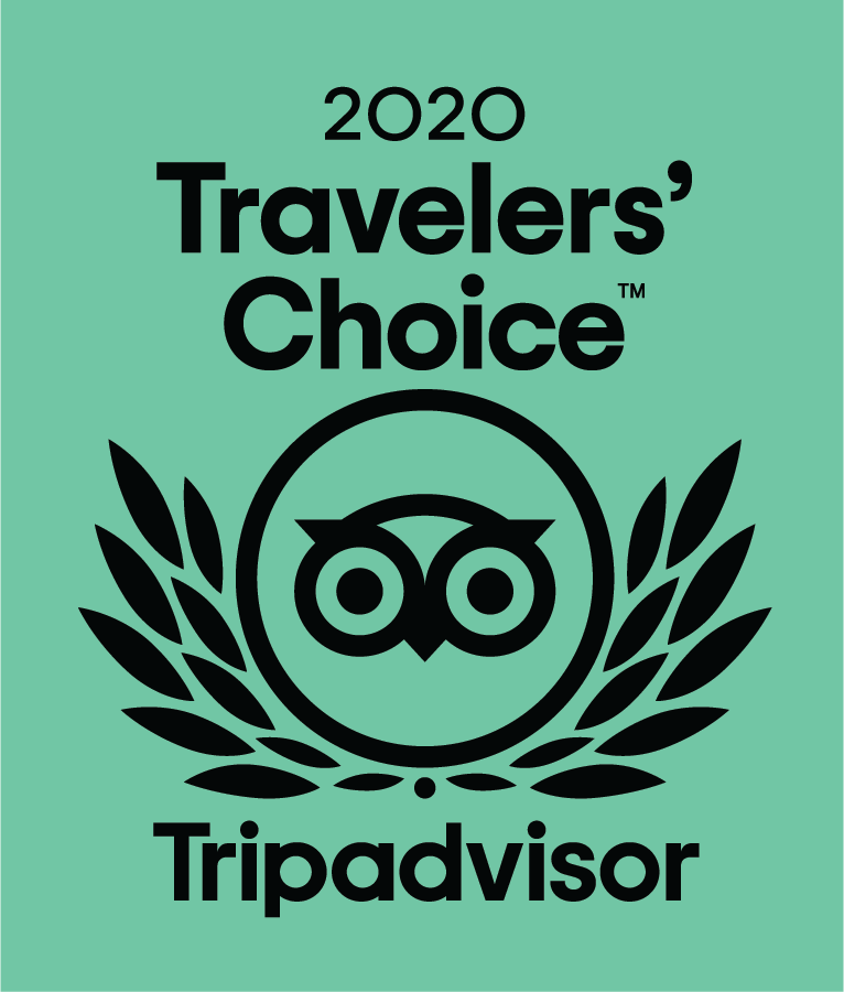 2020 TC